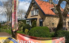 B&B Dol - Fijn