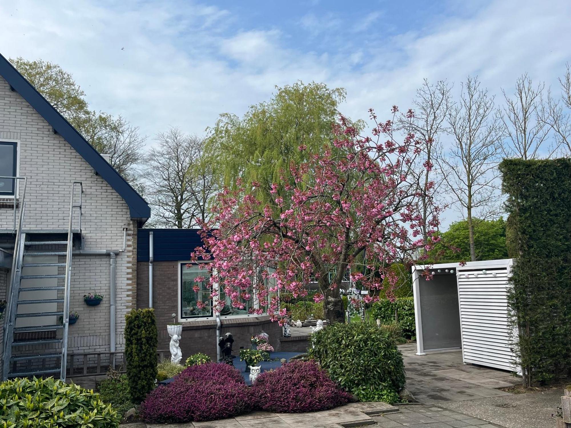 B&B Dol - Fijn Benningbroek Buitenkant foto